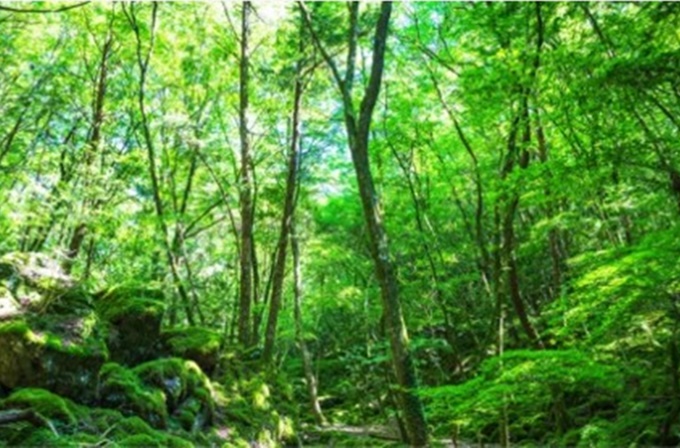 百年健康住宅　近代ホーム株式会社